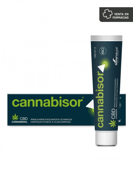 CANNABISOR-1.jpg